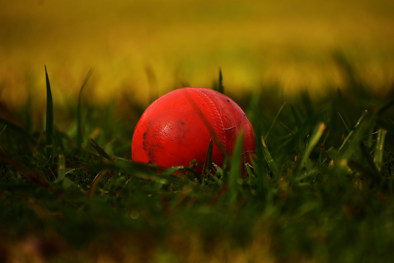 Home ball, cricket, sports, leaf green orange, cricket, cricket, cricket, cricket, cricket
